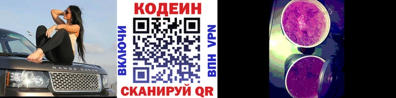 Купить  Александровск-Сахалинский  Codein Purple Drank 