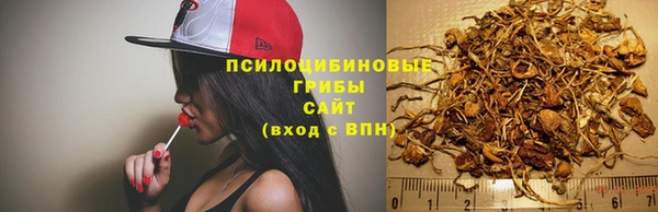 меф Каменск-Шахтинский