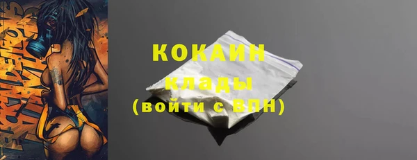 a pvp Каменка