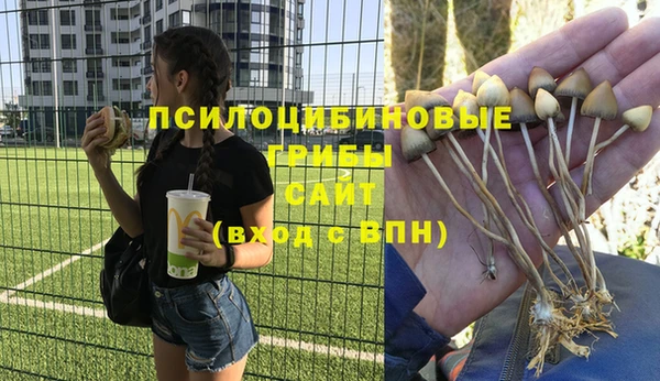 меф Каменск-Шахтинский