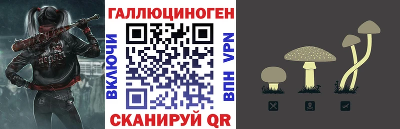 Купить закладки  Александровск-Сахалинский  Галлюциногенные грибы Psilocybe 